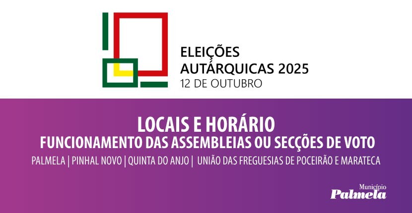 Eleições Autárquicas: consulte a sua secção de voto aqui