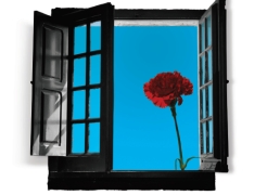 35º Aniversário do 25 de Abril em Palmela - Jorge Palma e José Mário Branco em destaque