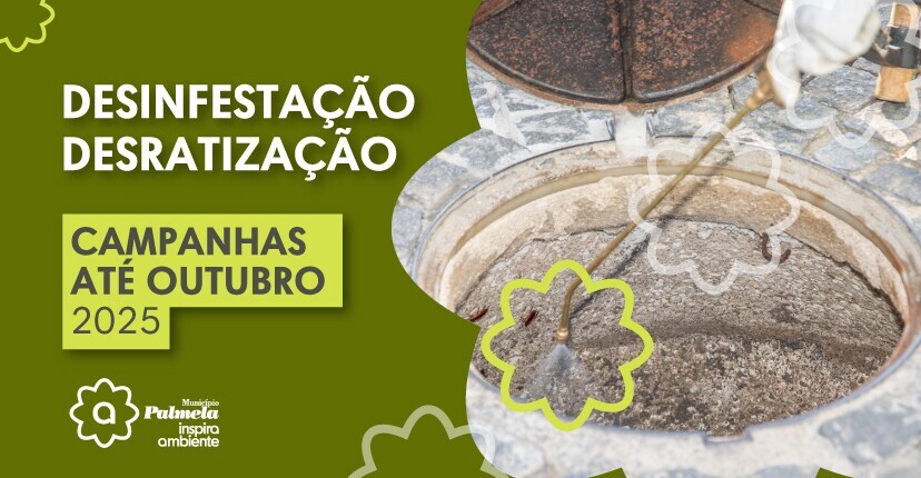 Desinfestação e desratização: última campanha 2025 a decorrer 