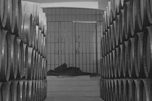 Adegas - Um Olhar Diferente