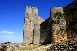 Câmara Comemora Dia Internacional dos Museus