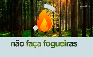 Portugal sem fogos depende de todos 