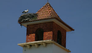 Semanas da Freguesias 2014: Marateca abre ciclo de trabalho descentralizado 