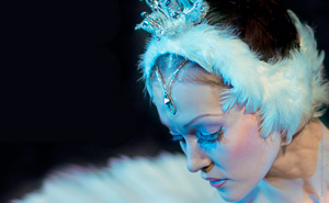 Lago dos Cisnes regressa a Palmela 