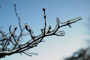 Tempo frio e seco mantem-se nos próximo dias 