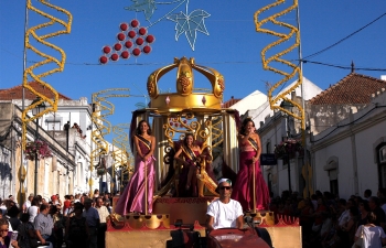 Palmela procura a sua nova Rainha das Vindimas 