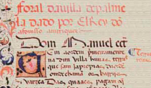 Município presta homenagem a personalidades, organizações e trabalhadores no Dia do Concelho 