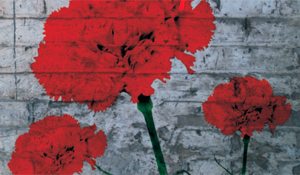 Programa comemorativo do 39º aniversário do 25 de Abril de 1974 reúne movimento associativo e ins...