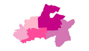 Já assinou a Petição contra a extinção de freguesias no concelho de Palmela?