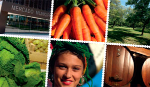 Jornadas “Agricultura, Dinâmicas Territoriais e Desenvolvimento” reúnem especialistas em Palmela 