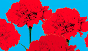  Comemorações do 38º Aniversário do 25 de abril abrangem todo o concelho