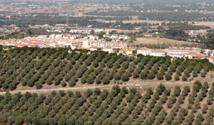 Corte de Trânsito: Repavimentação do CM 1054  - Vale de Barris 