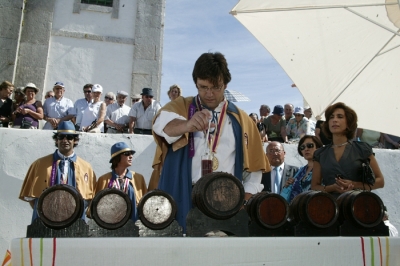 Festa das Vindimas 2010