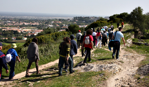 Propostas do “Mexa-se em Palmela” para este mês 