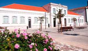 Biblioteca de Palmela promove Oficinas Artísticas 