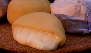 Fins-de-Semana Gastronómicos do Queijo de Ovelha abrem programa anual do “Palmela – Experiências ...