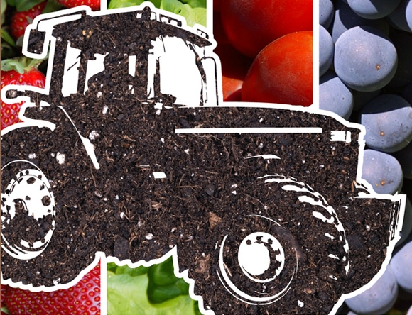 XIX Feira Comercial e Agrícola de Poceirão promove produtos da terra