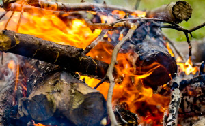  Proteção Civil lança alerta de perigo de incêndio florestal