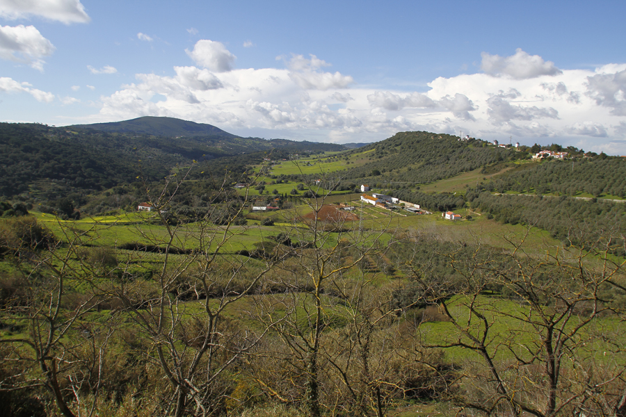 Câmara limpa 31 quilómetros de caminhos florestais