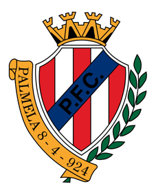 Sintético do Palmelense apoiado pelo Município em 130 mil euros