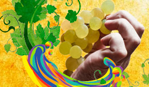 Tomada de Posse dos membros da Associação das Festas de Palmela - Festa das Vindimas 