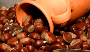 Festejos de S. Martinho no Centro Cultural de Poceirão 