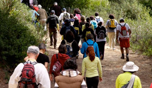 Comemorações do Mês da Juventude e do Dia Mundial da Floresta marcam programa “Mexa-se em Palmela...