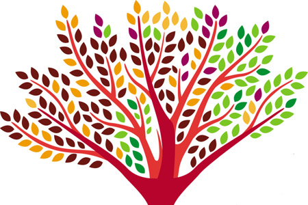 Município de Palmela aposta na defesa e valorização da Floresta Autóctone