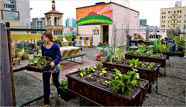 “Uma horta de água no seu terraço ou varanda”: Oficina de agricultura ecológica em Pinhal Novo