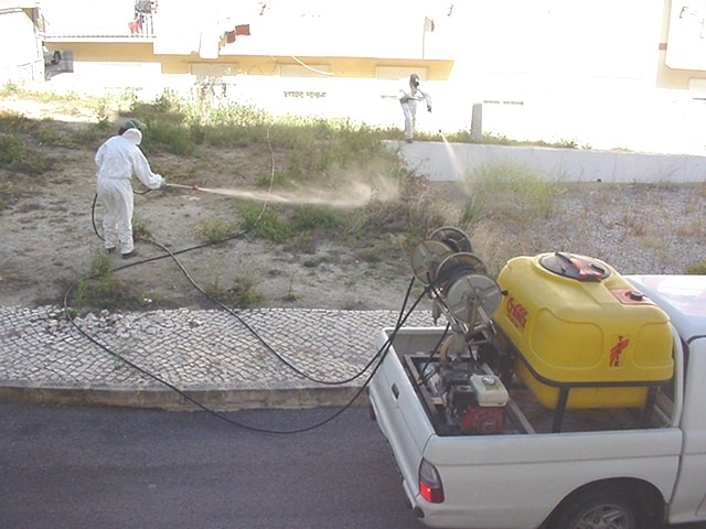 Autarquia elimina ervas do espaço público