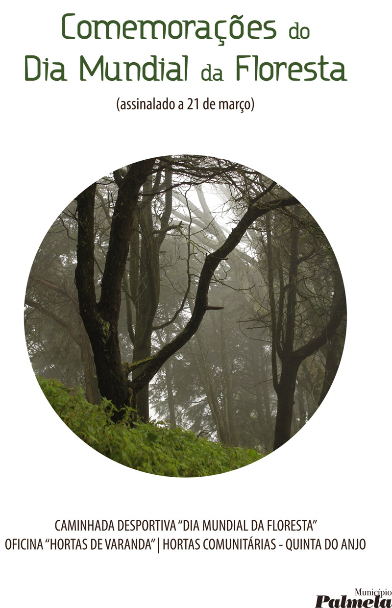 Município de Palmela celebra Dia Mundial da Floresta