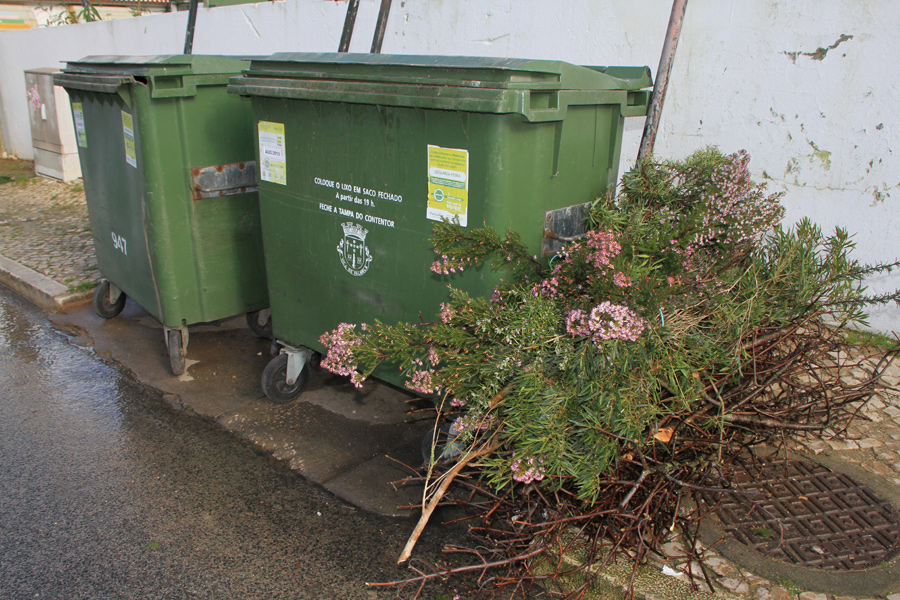 Aprovado concurso público para prestação de serviços de recolha de resíduos