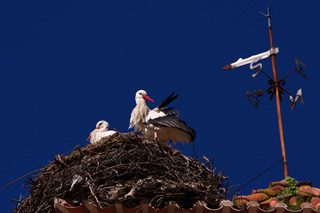 Cemitério da Marateca: Aprovada celebração de contrato