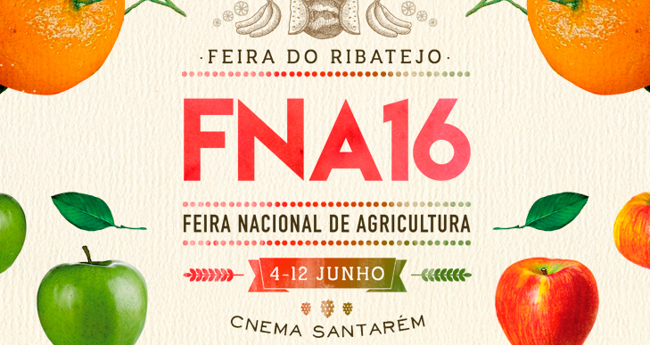 “Salão Prazer de Provar”: Palmela promove turismo e vinho em Santarém