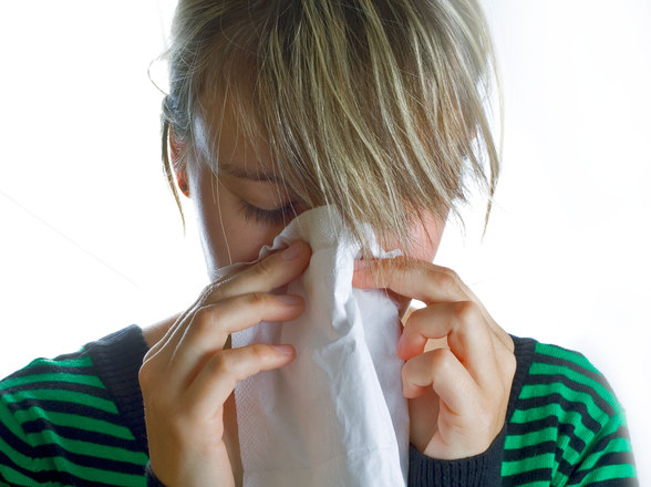 Choupos não são principal causa de alergias