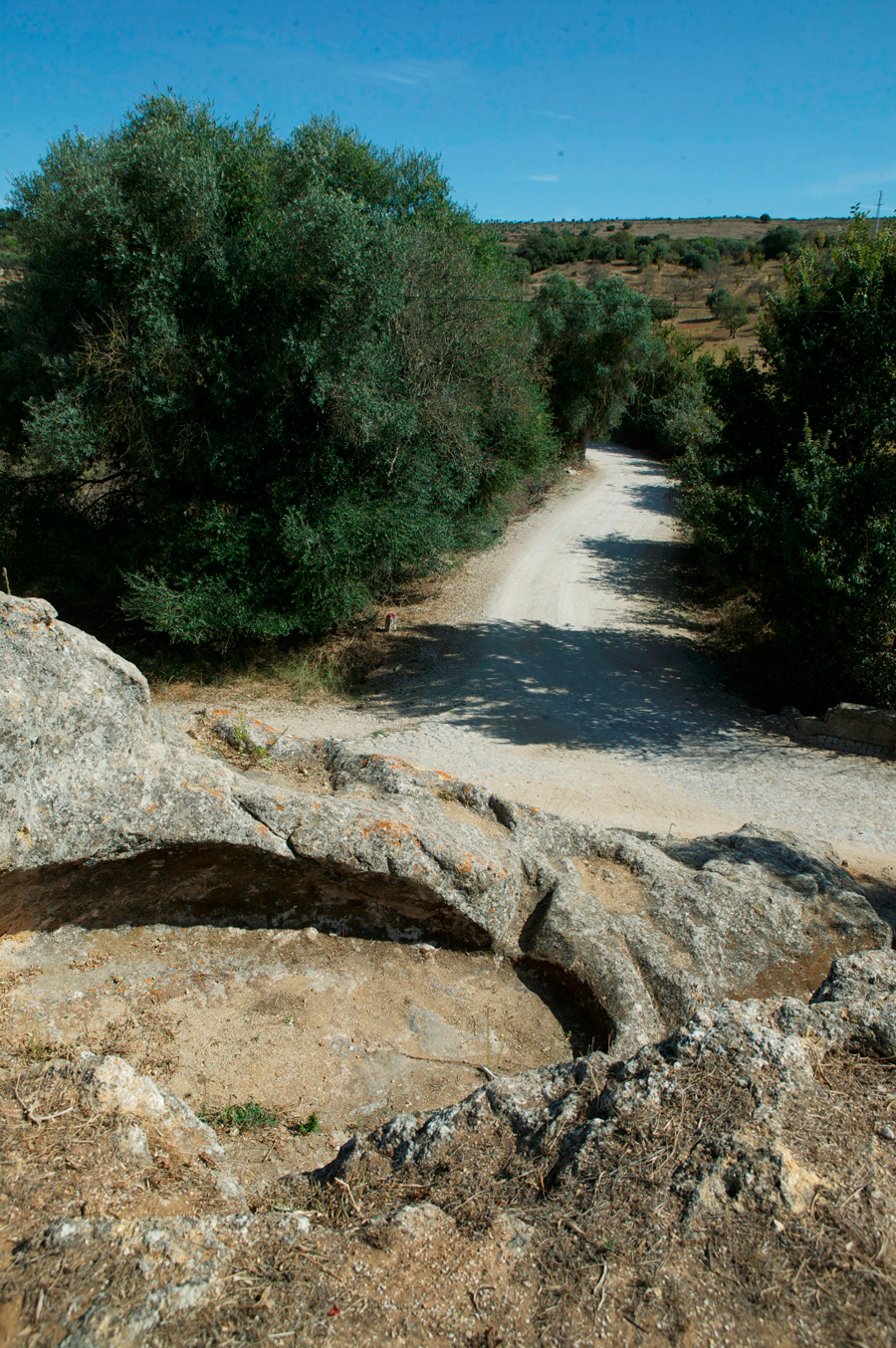 Município de Palmela e MAEDS levam população de idade maior a visitar o património da região