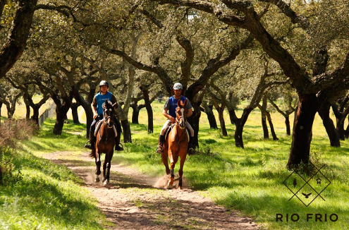 Festival Internacional de Endurance de Rio Frio realiza-se em 3 e 4 de setembro