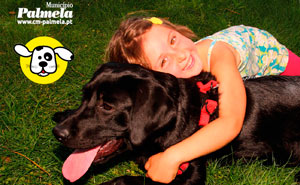 Adocaoanimais 1 750 2500