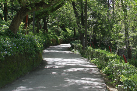 Parque Venâncio Ribeiro da Costa com novas instalações sanitárias