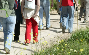   Mexa-se em Palmela em fevereiro 