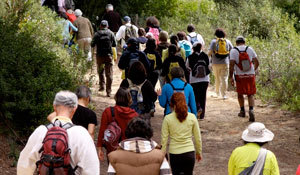 Programa do Município “Mexa-se em Palmela” propõe caminhadas para manter a boa forma