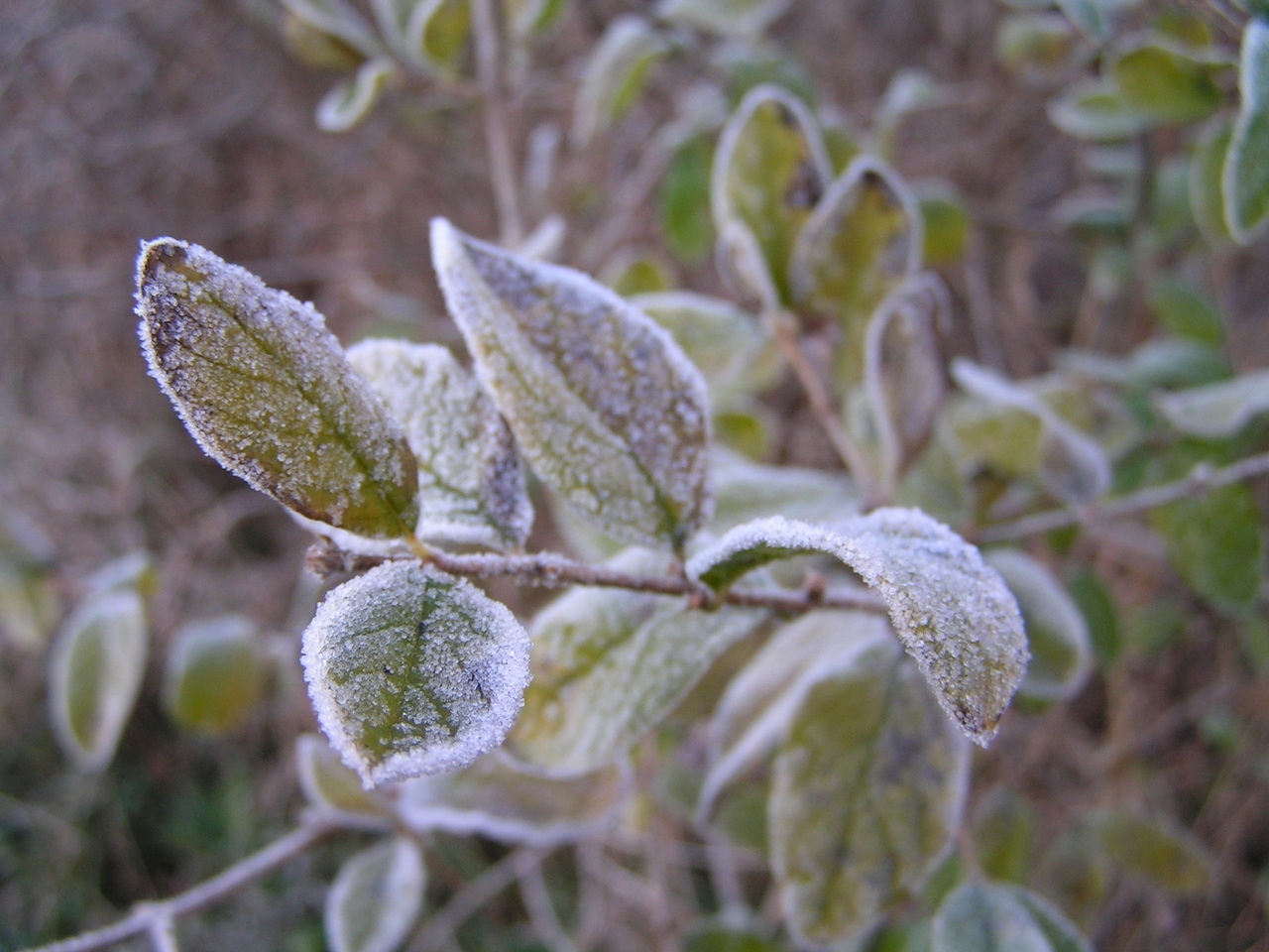 Condições meteorológicas adversas: tempo frio