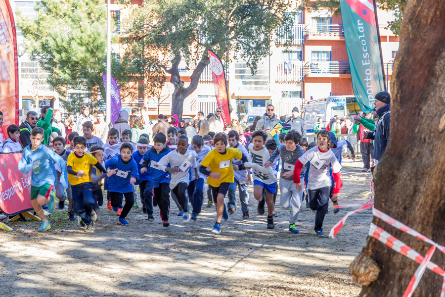 Corta-Mato concelhio do Desporto Escolar reuniu 285 alunas/os em Quinta do Anjo