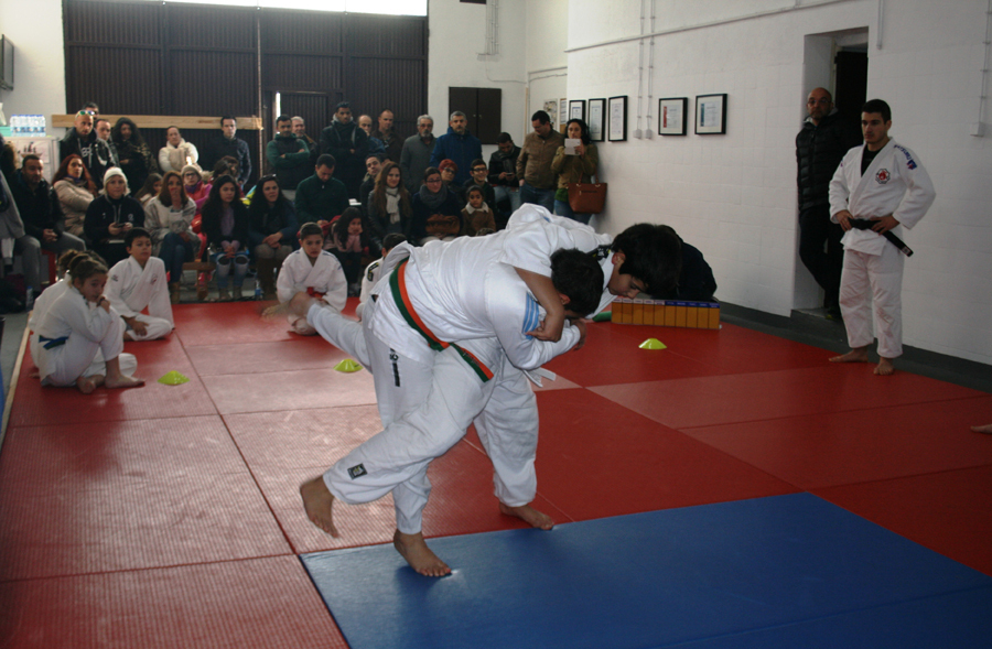 Jovens judocas do concelho participaram no 1.º Torneio Municipal de 2017