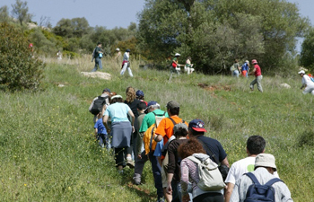 Caminhadas, BTT e hidroginástica: Município aposta no Desporto