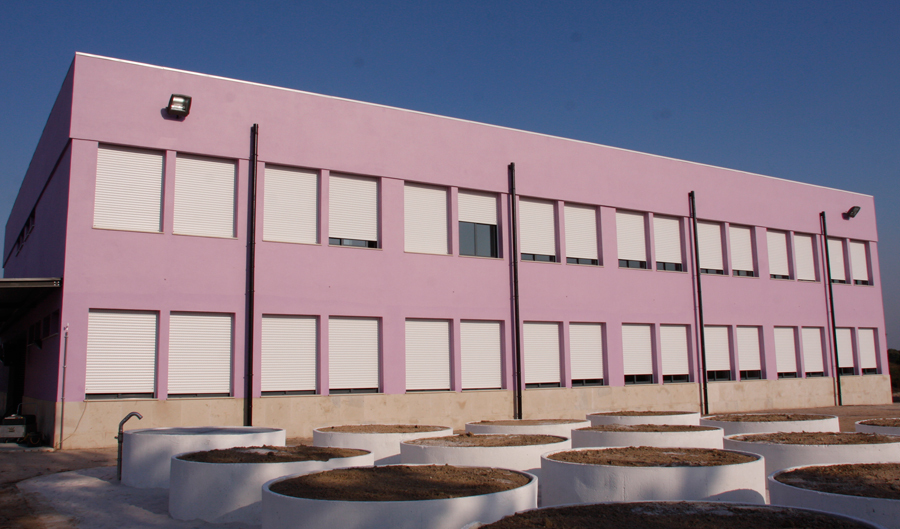 Município reivindica Ensino Secundário para Escola José Saramago em Poceirão e Marateca