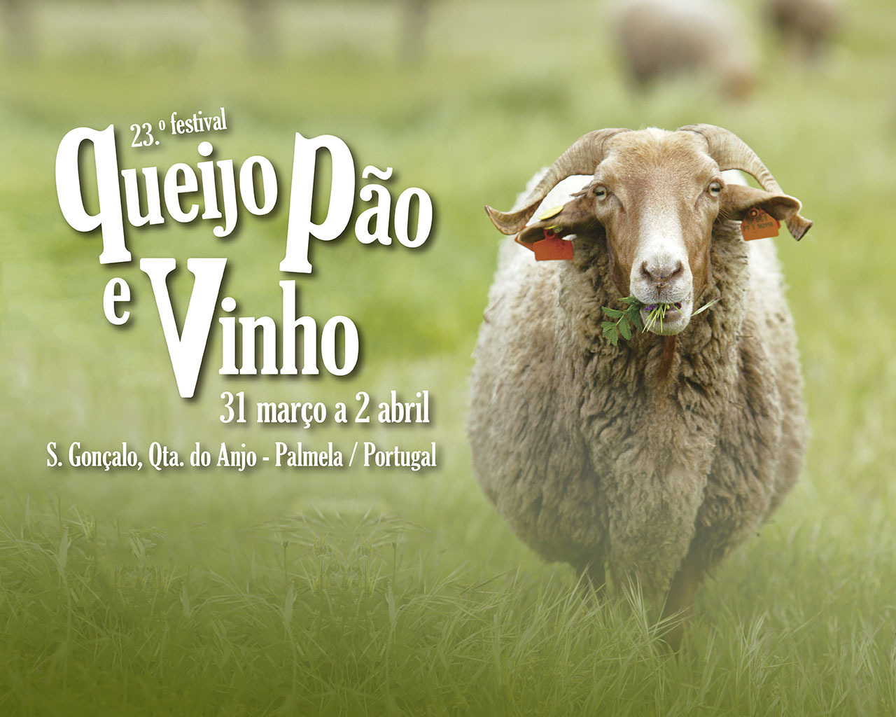 23.º Festival Queijo, Pão e Vinho: Os melhores sabores da Arrábida promovem-se em S. Gonçalo