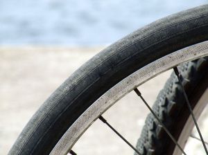 Projeto para Ciclovia de Quinta do Anjo avança