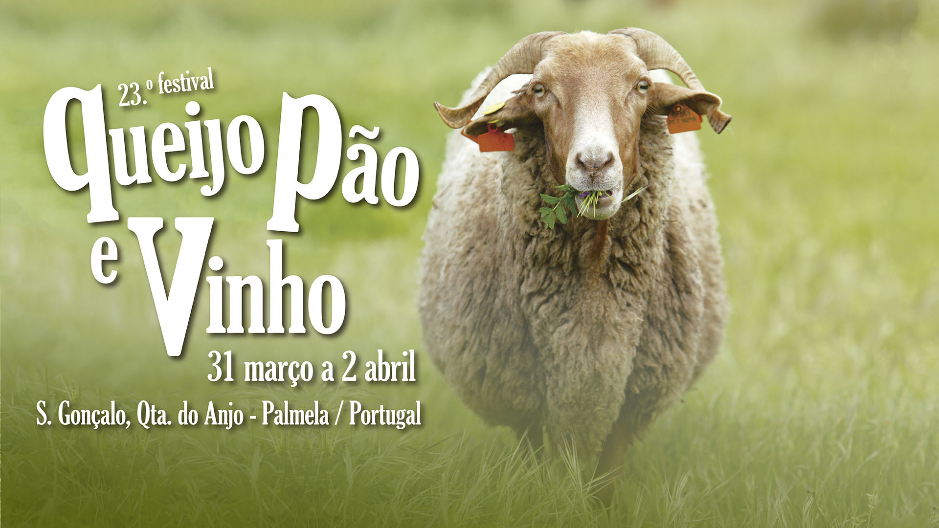 23.º Festival Queijo, Pão e Vinho: Freguesia de Quinta do Anjo, capital dos sabores da Arrábida