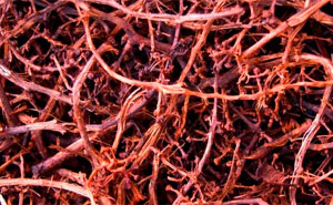 Teatro O Bando apresenta programação específica para o espaço sede, entre outubro e maio 